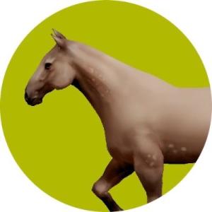 Logo of Horse