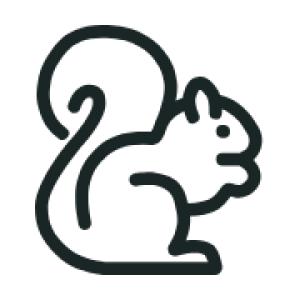 Logo of Chipmunk Theme